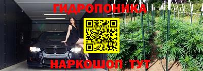 круглые Ставрополь