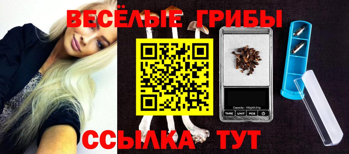 Псилоцибиновые грибы MAGIC MUSHROOMS Донецк