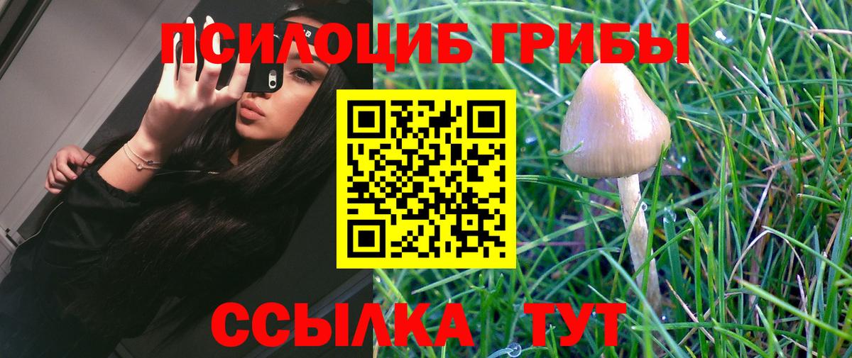 Галлюциногенные грибы MAGIC MUSHROOMS  Вход с VPN  Донецк 